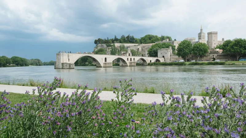Avignon