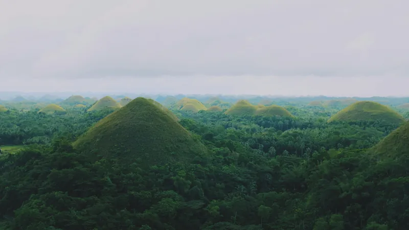 Bohol