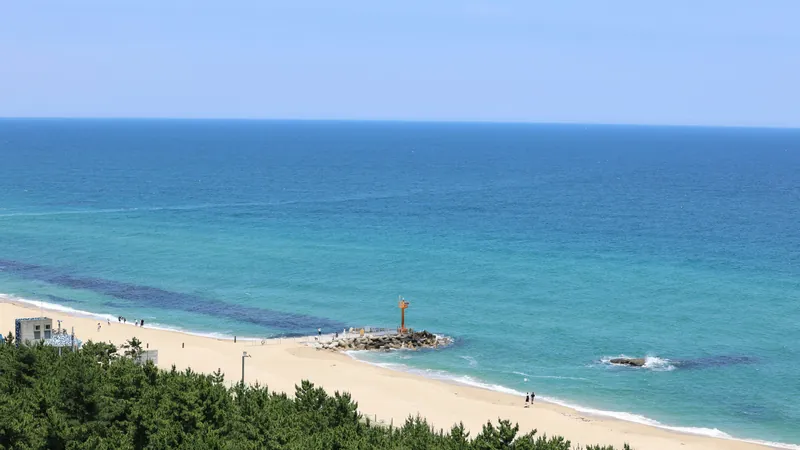 Gangneung