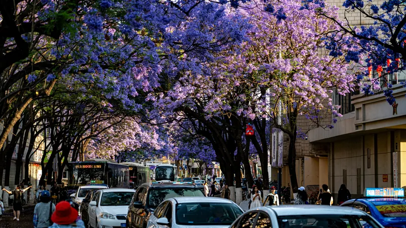 Kunming